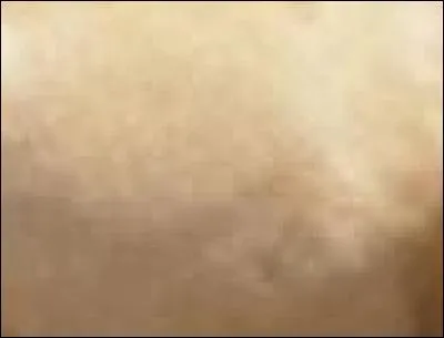 A quel animal appartient ce pelage ?