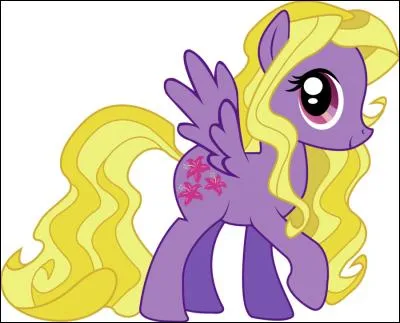 Quel est ce poney ?