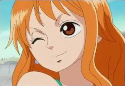 Quel est le but de Nami ?