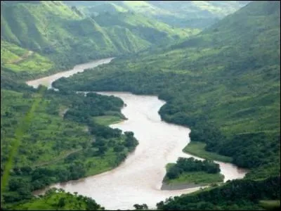 À partir de ce premier vers, retrouvez son auteur et le titre du poème, "Comme je descendais les fleuves impassibles,"