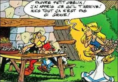 "La Galère d'Obélix" : après cette scène que vous voyez sur l'image, Obélix, enfant, veut faire un cadeau à Falbala. Mais quel est ce cadeau ?