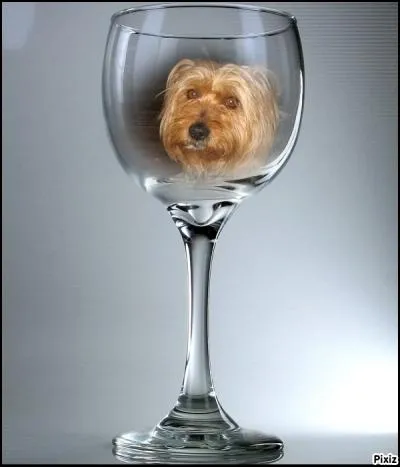 Voilà encore un joli montage ! Si tu avais été un vin blanc, selon les convenances, comment aurais-je dû remplir le verre ?