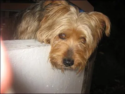 Voilà encore ta jolie bouille de...