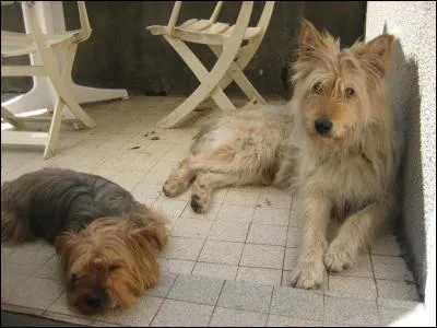 Te voici avec ton meilleur pote :