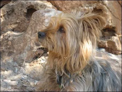 Te voici dans les calanques ! A 45 minutes à pied, à l'ouest de Bandol, juste avant d'arriver à Saint-Cyr sur Mer !