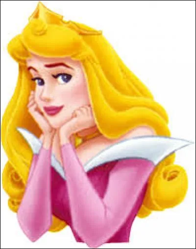 C'est une agréable et charmante princesse. Elle a été élevée par trois fées nommées Flora, Pâquerette et Pimprenelle. Elle vit dans la forêt où un jour, par hasard, elle rencontre le prince, son grand amour.