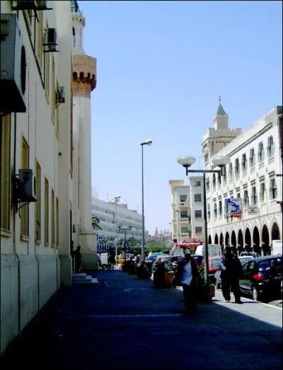 L'image prsente une vue de