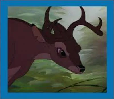 Bambi a grandi, c'est maintenant devenu un jeune cerf. Il rencontre de nouveau Féline au cours d'une ballade dans la forêt. Il tombe amoureux d'elle mais il doit affronter un rival qui se nomme...