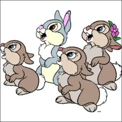 Un nouveau printemps arrive, Pan-Pan a eu des petits avec une lapine. Combien le couple a-t-il eu de petits ?