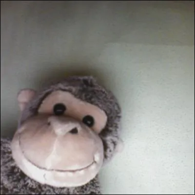 Qui sont-ils en réalité ?