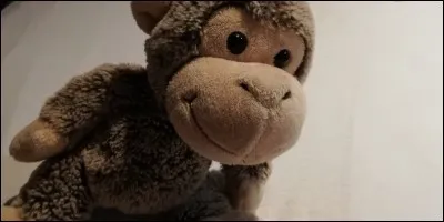 Quel est son nom de famille ?