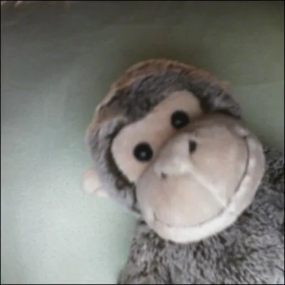 Dans quelle position Billy et son frère sont-ils ?