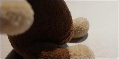 Son frère est il obèse ?