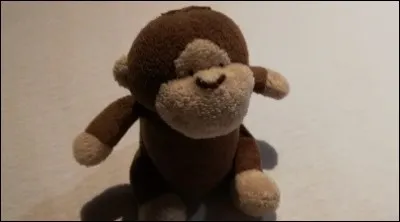 Pourquoi sont ils comme ça, a vôtre avis ?