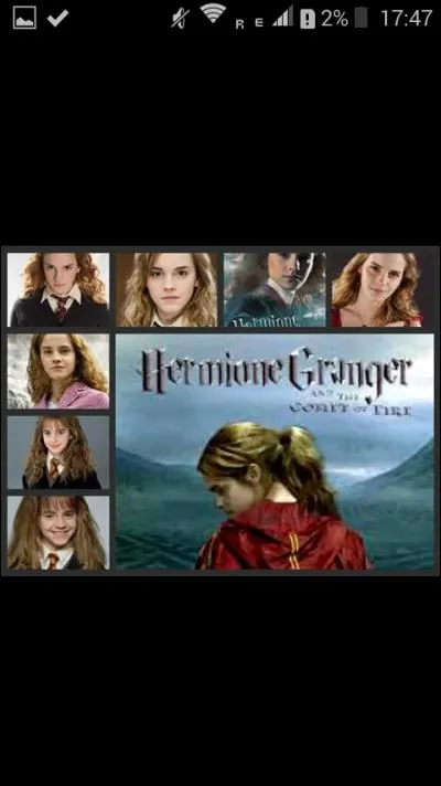 Qui est en couple avec Tonks ?