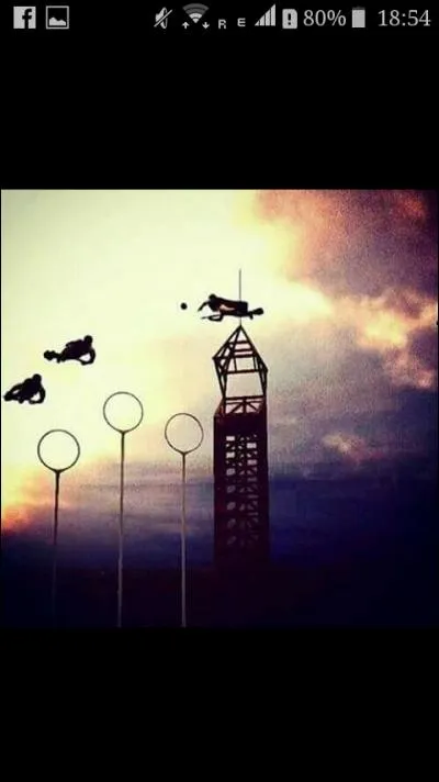 Avec qui Harry veut-il aller au bal des trois sorciers ?