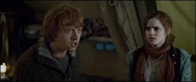 Pourquoi Harry et Ron se disputent-ils dans le 7&egrave;me volet de la saga ?
