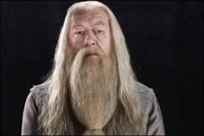 Avec qui Albus Perceval Wulfric Brian Dumbledore va-t-il au bal ?