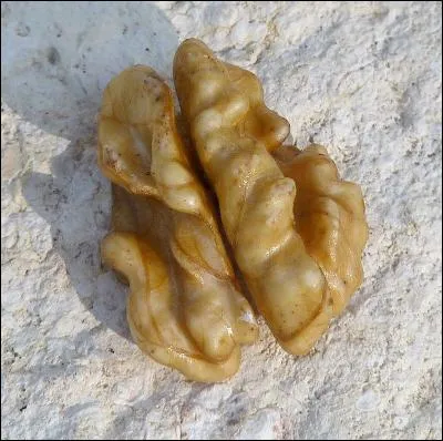 Sur l'image, tu vois la partie comestible d'une noix qui porte le nom d'une ville. Quelle est cette ville ?