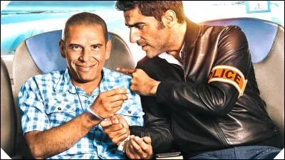 Comment s'appelle le premier film o&ugrave; Medi Sadoun et Ary Abittan ont jou&eacute; ensemble ?