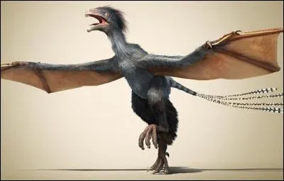 Quel est ce dinosaure ?