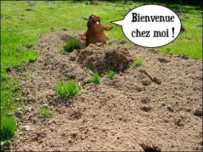 Je ne vois pas ce que je pourrais vous dire de plus !