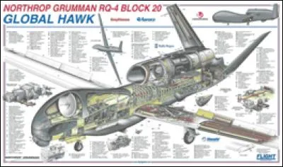 XXe si&egrave;cle - Le premier vol d'un avion sans pilote, le "Global Hawk", eut lieu le...