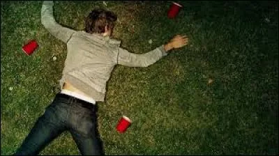 Quel est le titre de cette comédie américaine réalisée en 2012 ?