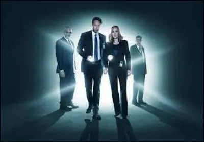 Dans quelle série peut-on voir Fox Mulder et Dana Scully ?