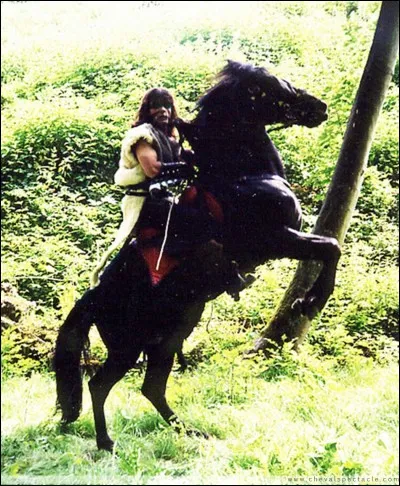 Quelle est cette figure ?