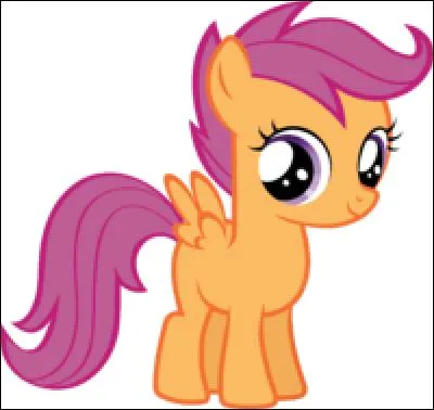 Quelle est l'information FAUSSE concernant Scootaloo ?