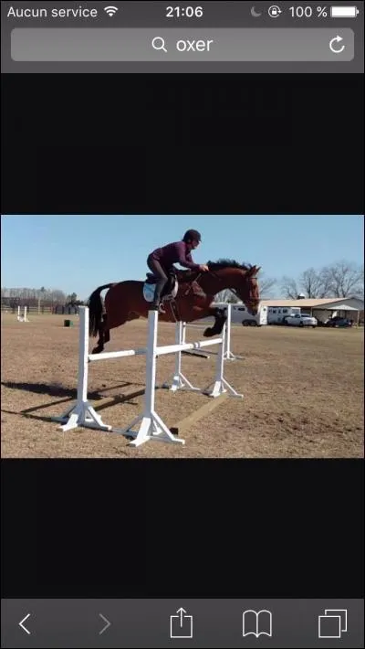 Comment s'appelle cet obstacle ?