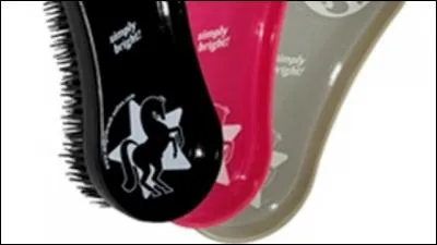 Comment s'appelle cet objet ?