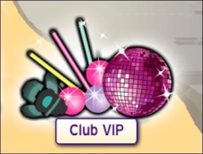 Une personne non-VIP peut-elle aller dans la salle des VIP ?