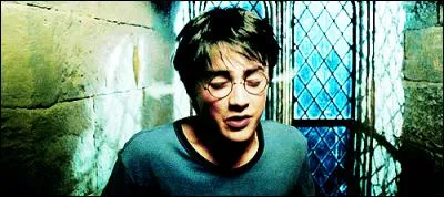 De quelle couleur sont les yeux de Harry ?