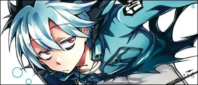 Quel est le nom de ce manga ?