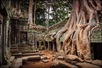 Où se trouve situé le temple d'Angkor-Vat ?