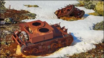 Quel blind&eacute; fut le plus utilis&eacute; par l'arm&eacute;e allemande durant la seconde guerre mondiale ?