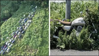 Associez un film &agrave; la photo de droite !