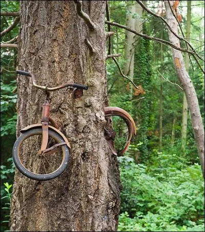 En quelle ann&eacute;e d&eacute;buta le premier tour de France &agrave; v&eacute;lo !