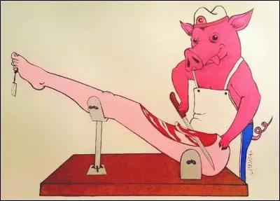 Regardez bien l'image et trouvez la solution !