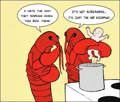 Comment fonctionne la reproduction des homards ?