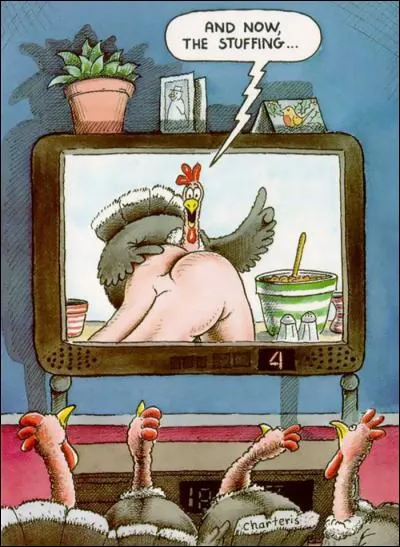 En Europe, on déguste la dinde de Noël depuis le 12ème siècle !