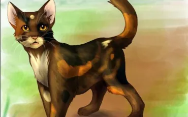 Quiz Erin hunter