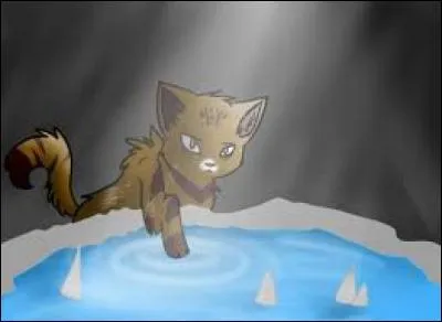 Qui est Papillon pour Étoile du Tigre ?