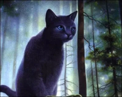 Qui est Étoile Bleue pour Étoile du Tigre ?