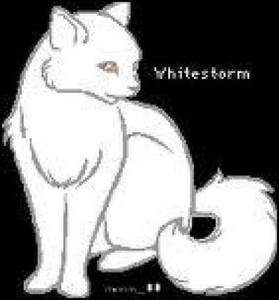 Qui est Tornade Blanche pour Étoile du Tigre ?