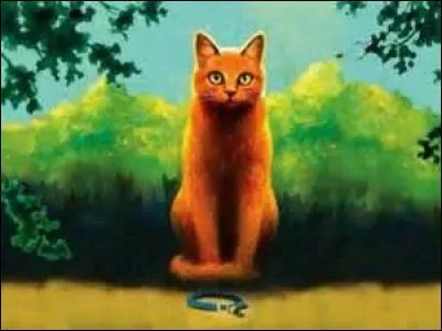 Qui est Étoile de Feu pour Étoile du Tigre ?