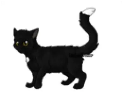 Qui est Nuage de Jais pour Étoile du Tigre ?