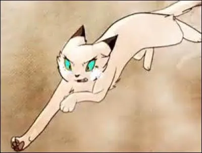 Qui est Pelage de Neige pour Étoile du Tigre ?